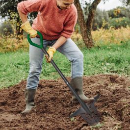 Fabro Raspberry Root Digger Starlyf Root Digger | JML